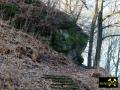 Burgberg in Elsterberg, Vogtland, Sachsen, (D) (3) 20. Februar 2012 (Burgleithe-Formation, Karbon - Kalkknotenschiefer, Oberdevon).JPG